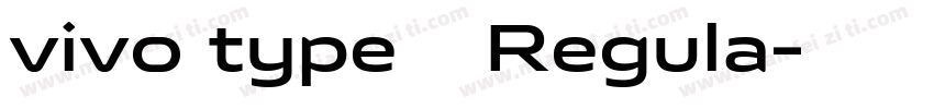 vivo type 简 Regula字体转换